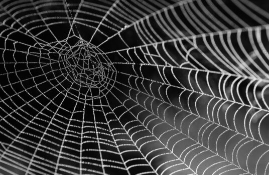 Darknet