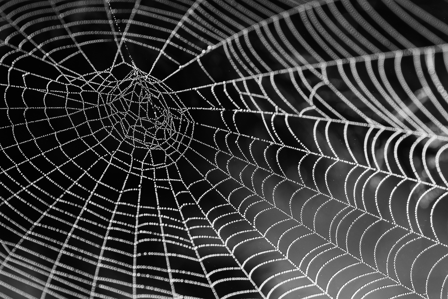 Darknet