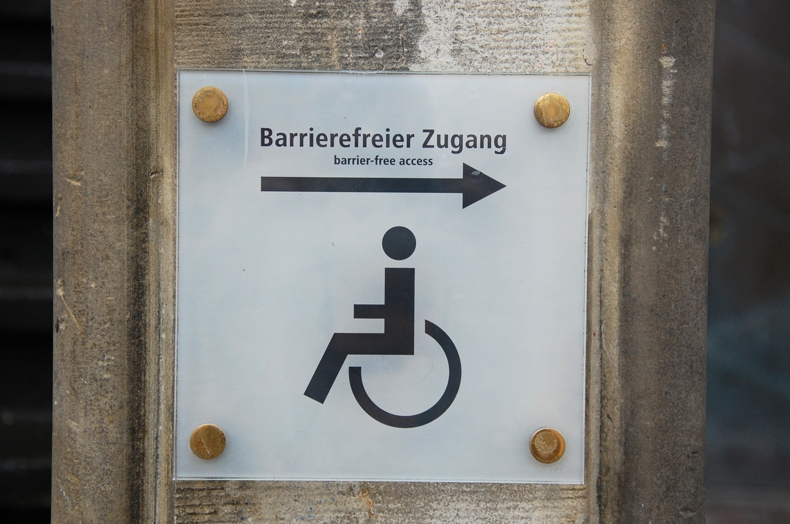 wurzeltrieb
